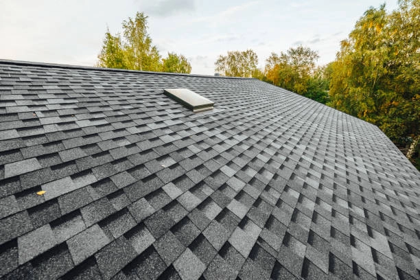 Gray shingle roof, modern skylight, surrounded by trees, durable design. -tile roof installation